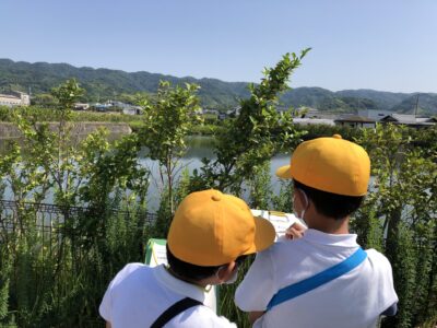 4年　池の見学