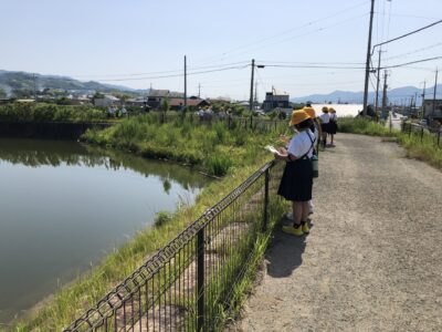 4年　池の見学