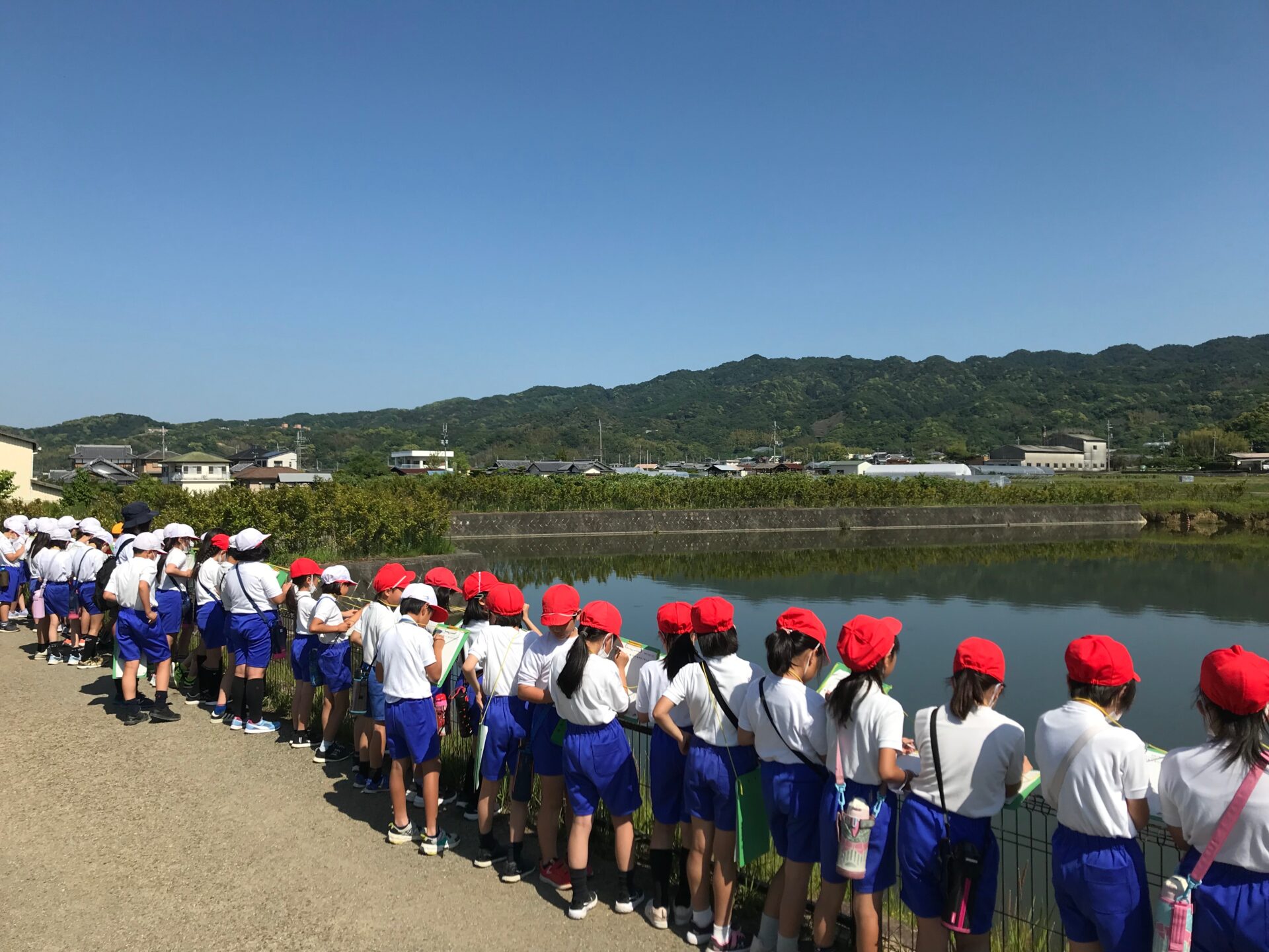 池の見学（4年）