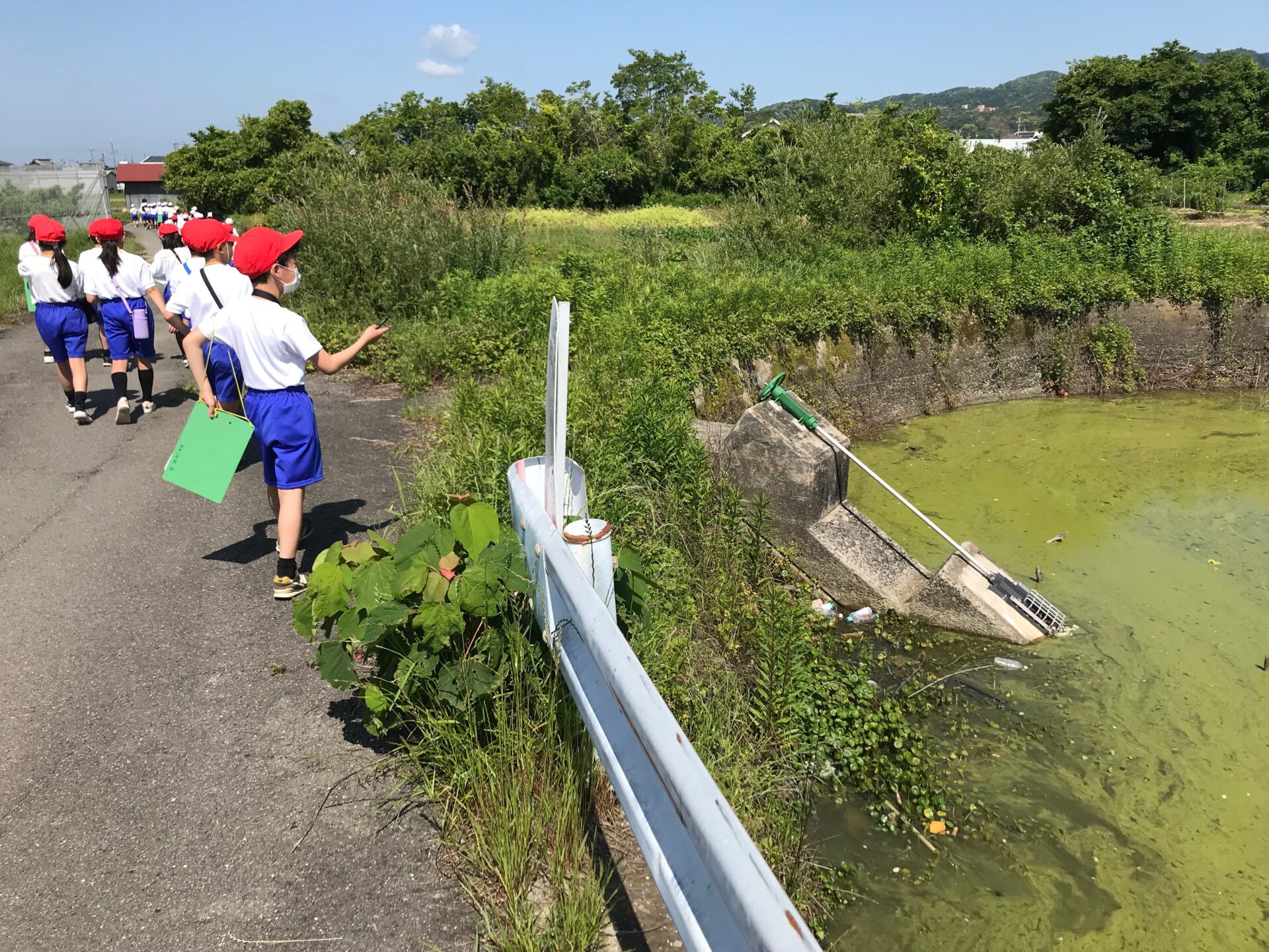 池の見学（4年）