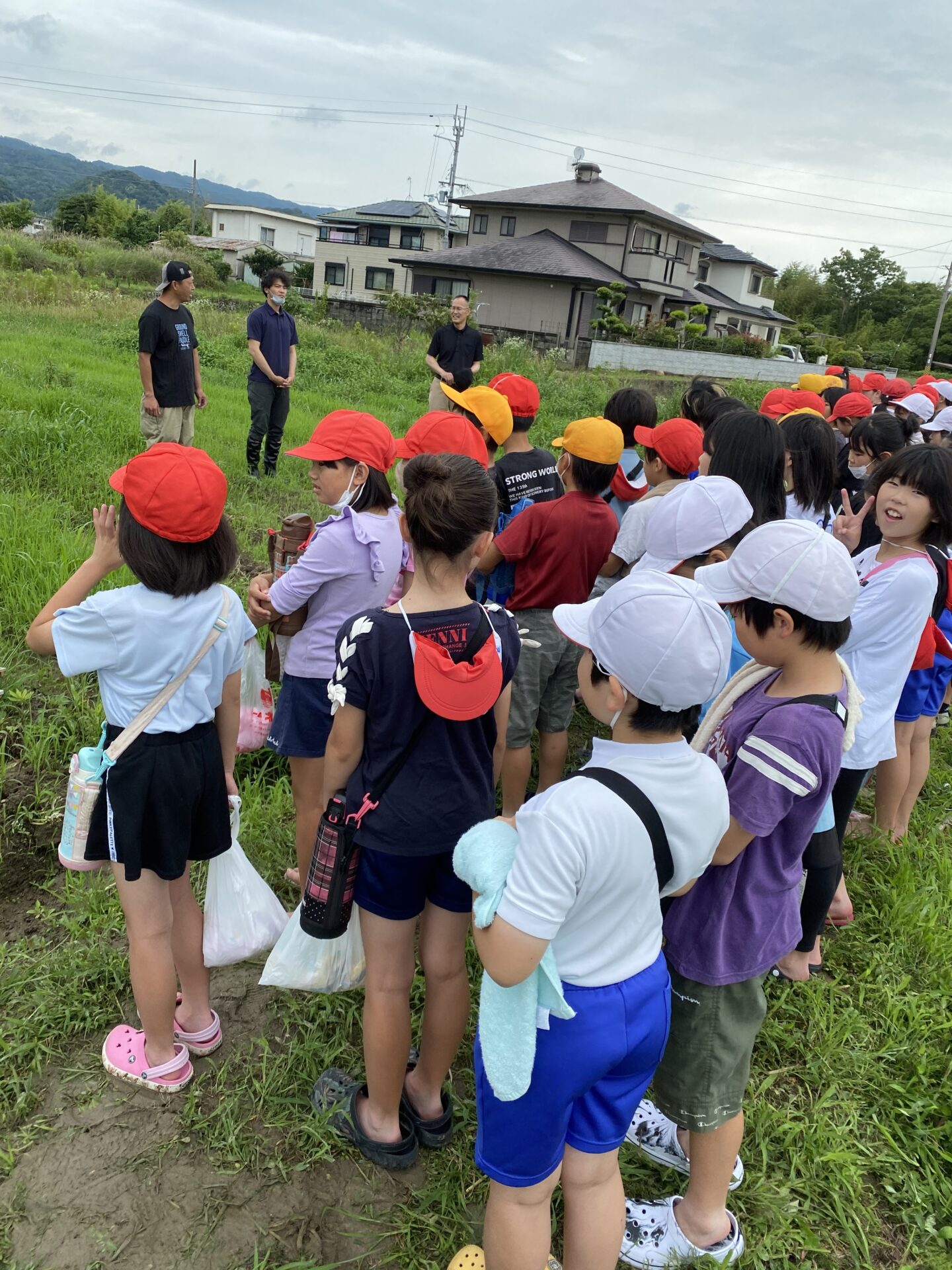 田植え(５年）