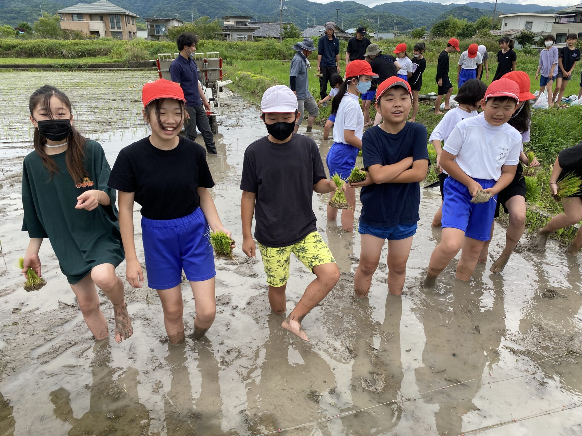 田植え(５年）