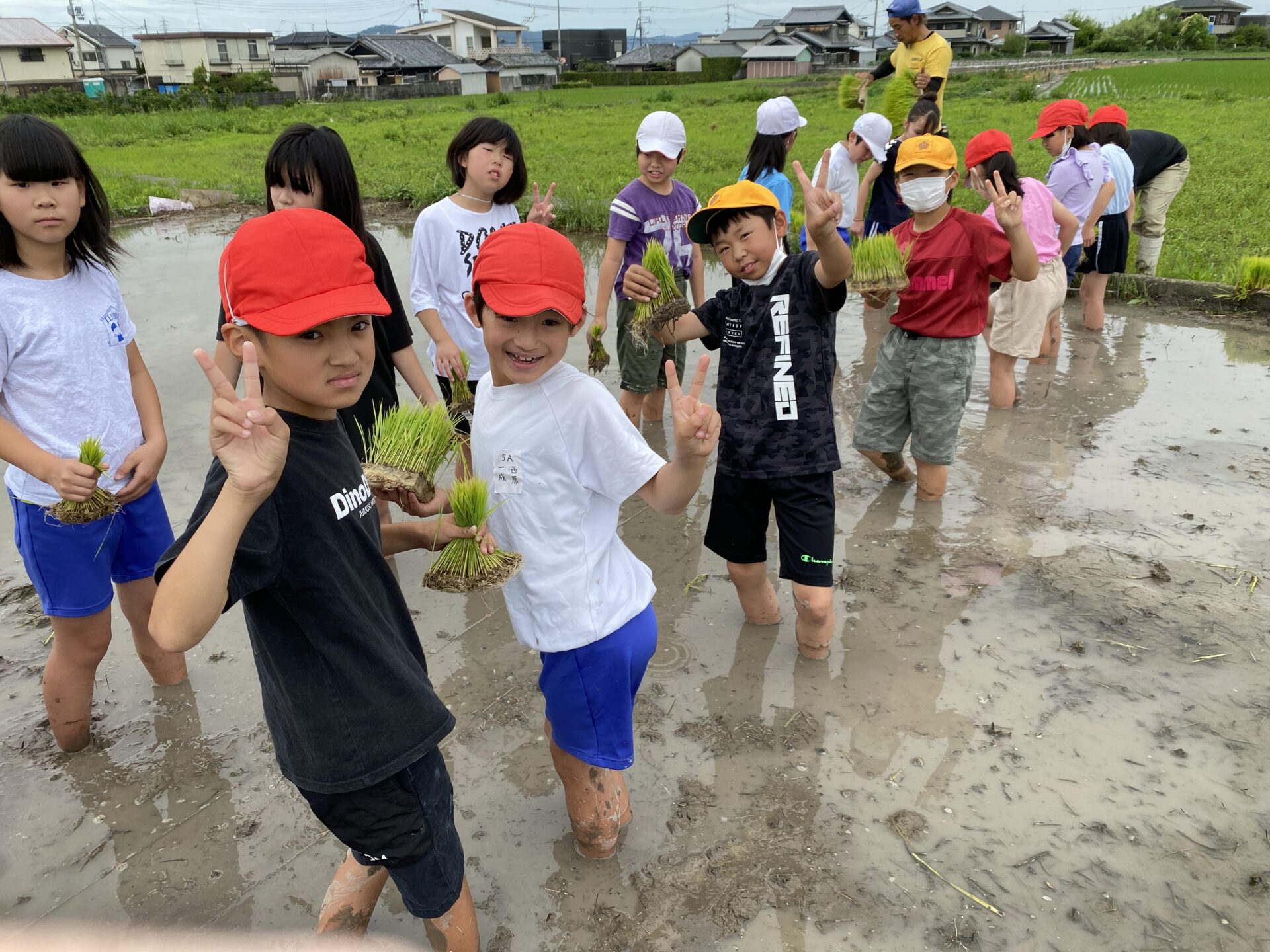 田植え(５年）