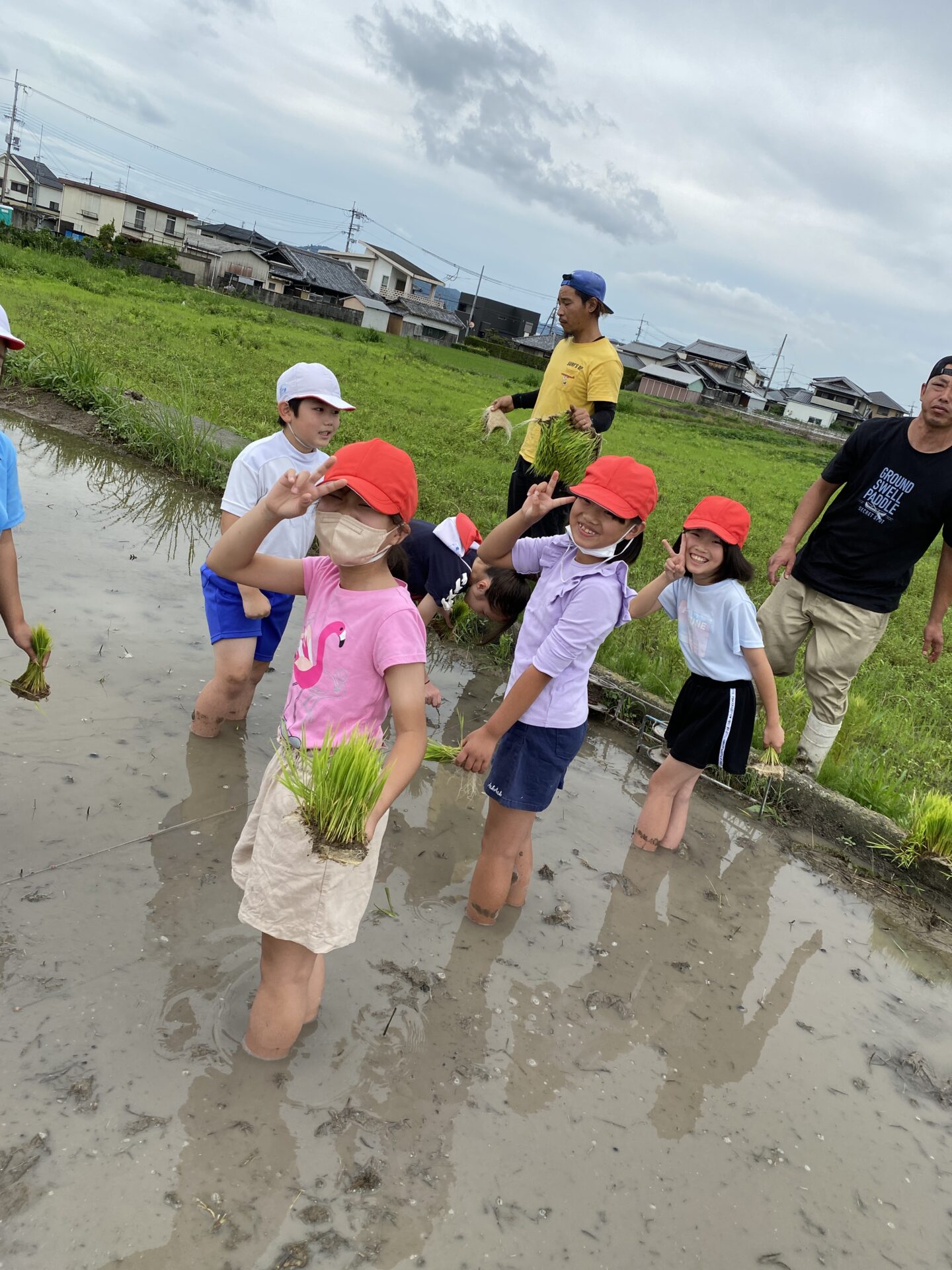 田植え(５年）