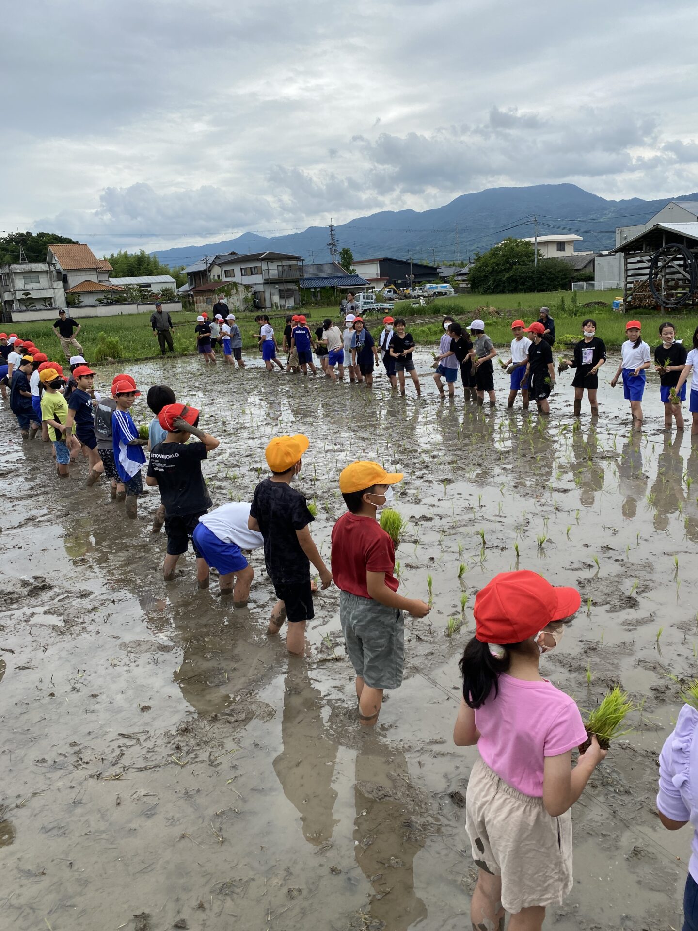 田植え(５年）