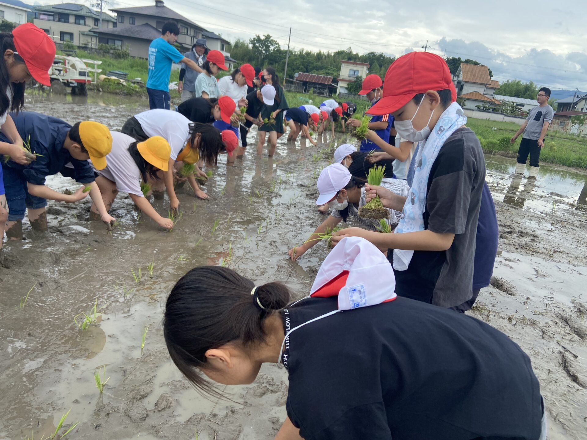 田植え(５年）