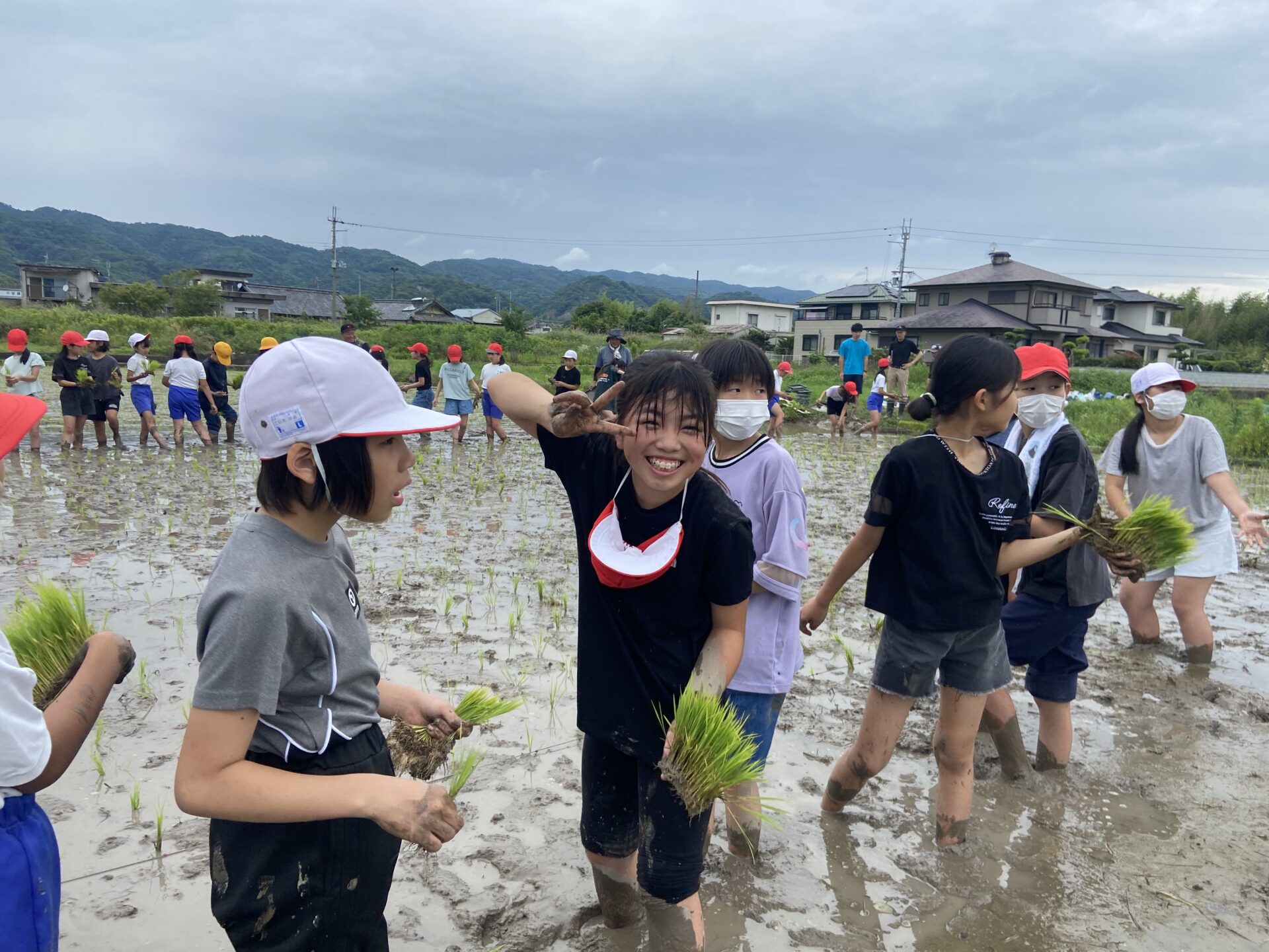 田植え(５年）