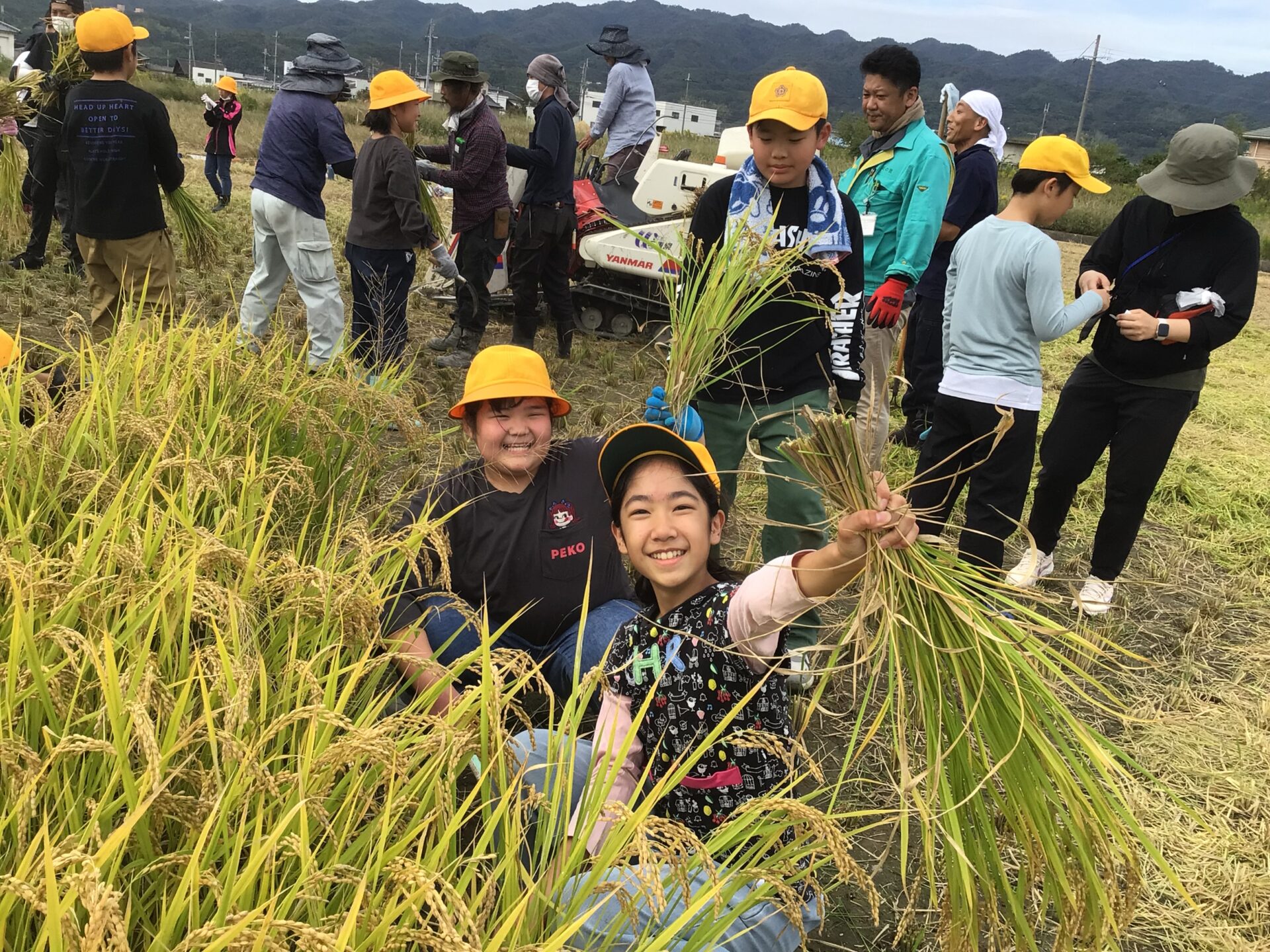 稲刈り（5年）