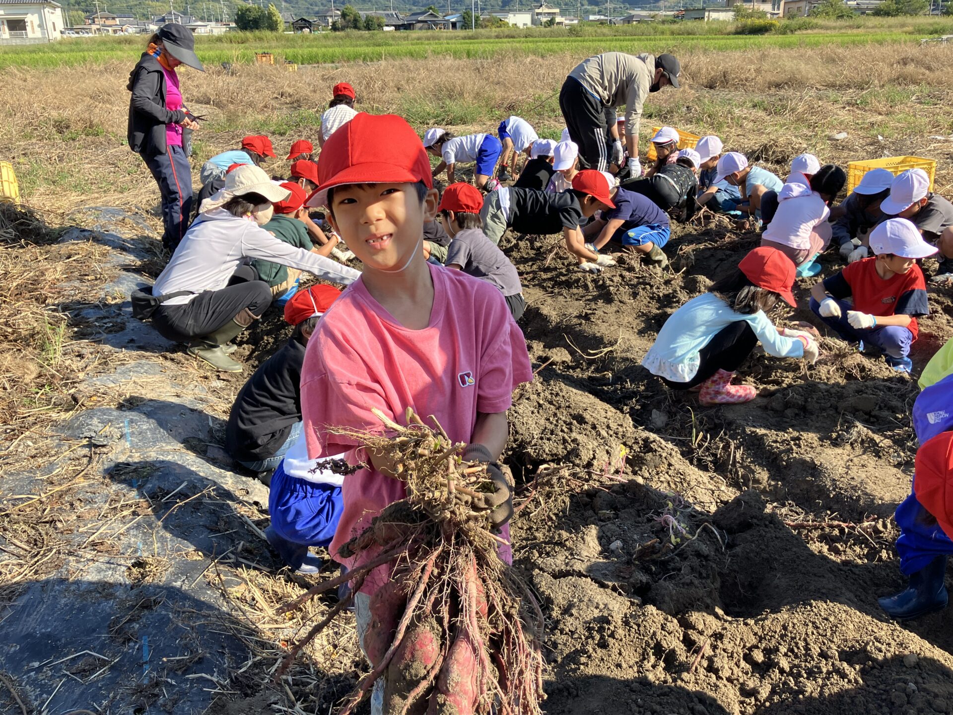 おいもほり（1，2年）