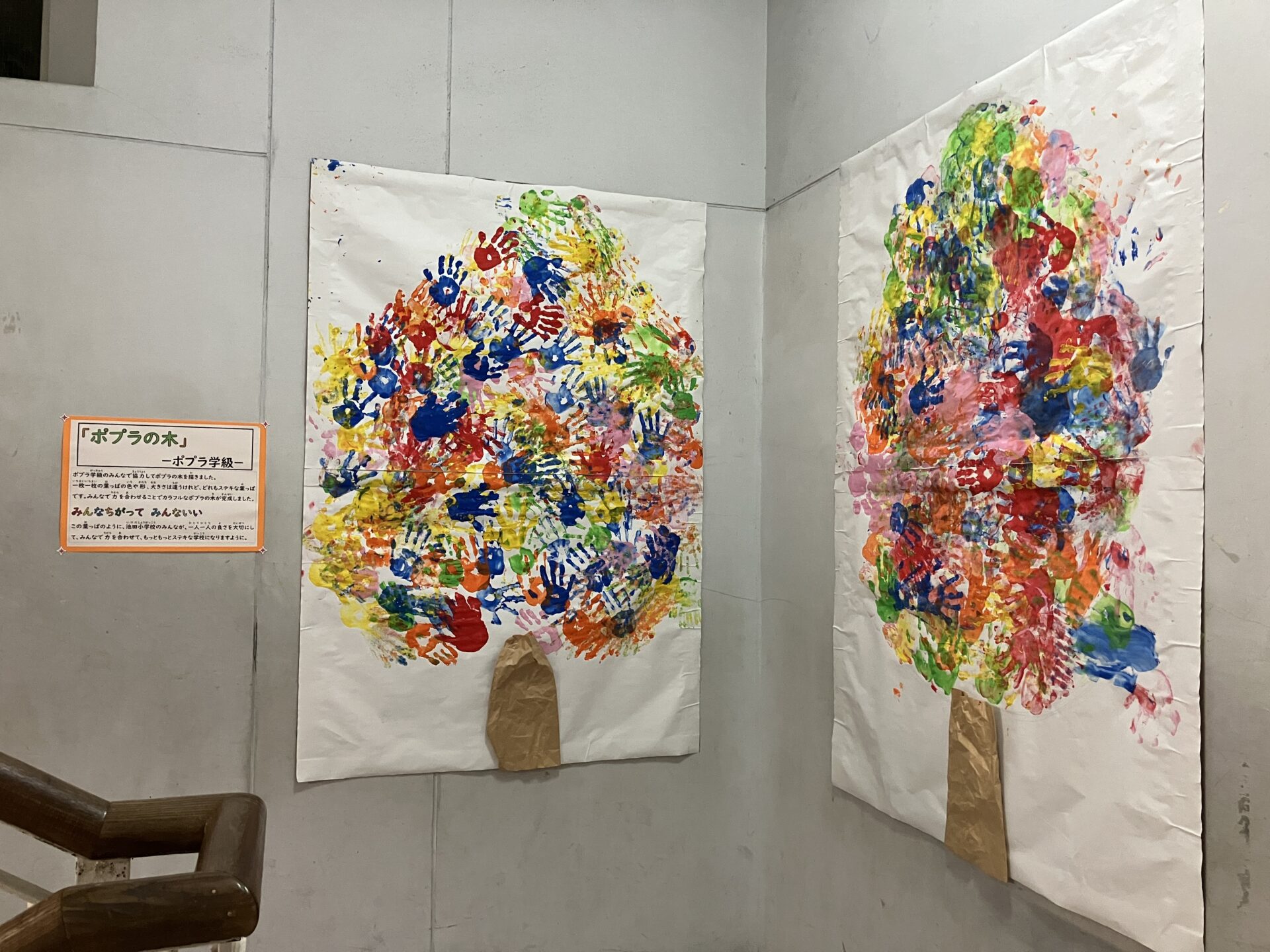 ポプラの木