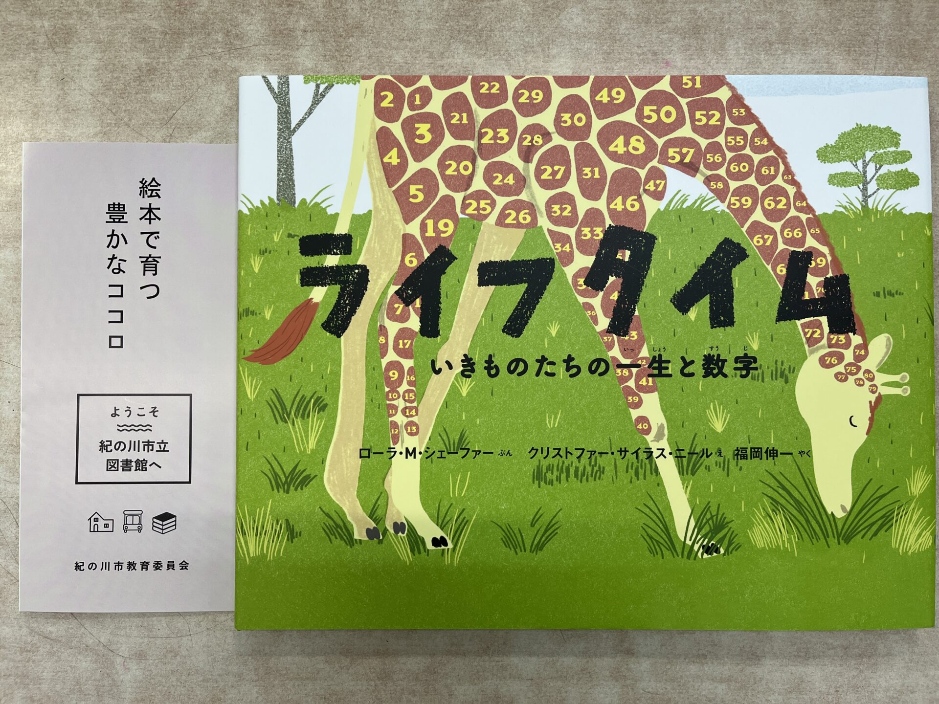 すてきな絵本のプレゼント