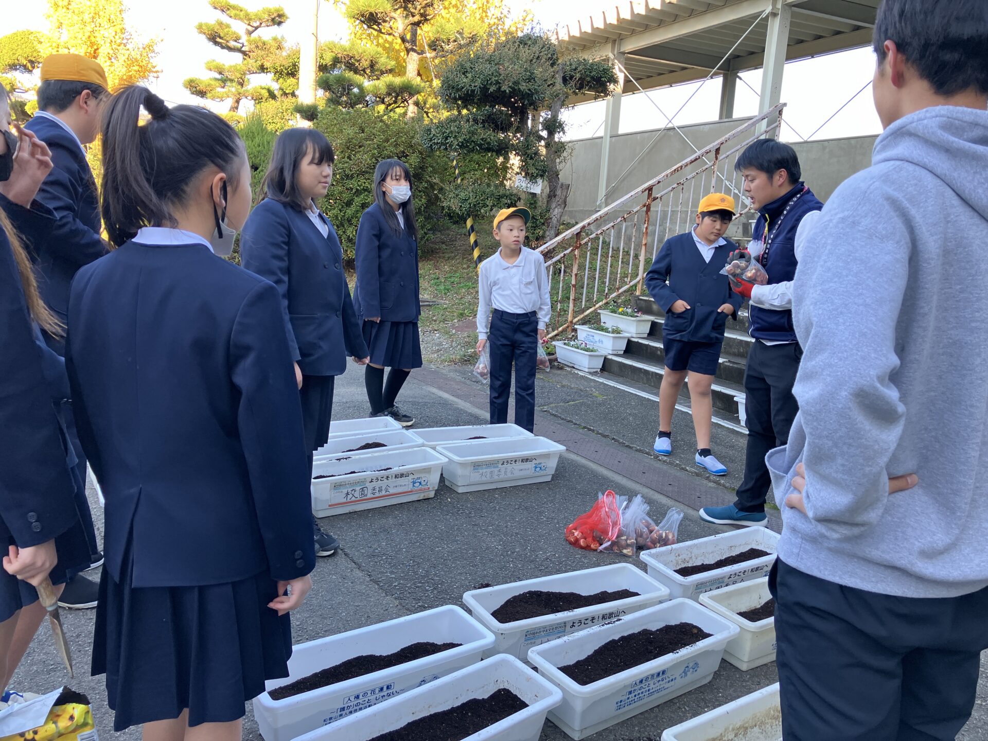 委員会活動（11月）