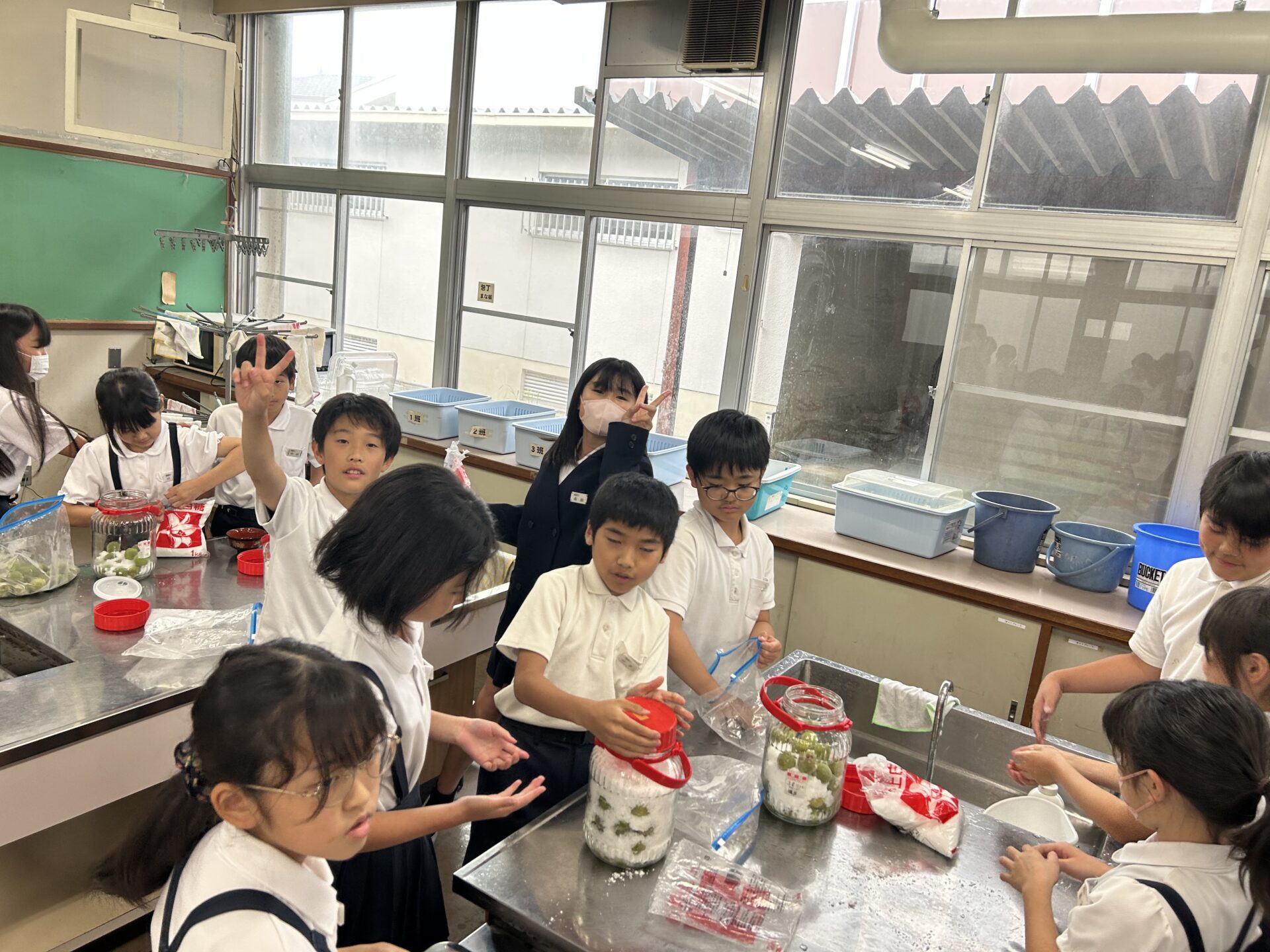 梅ジュース作り(5年)