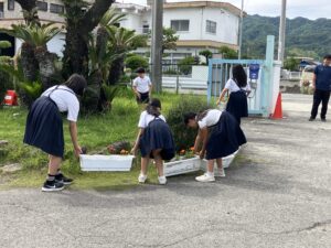 委員会活動（５・６年）