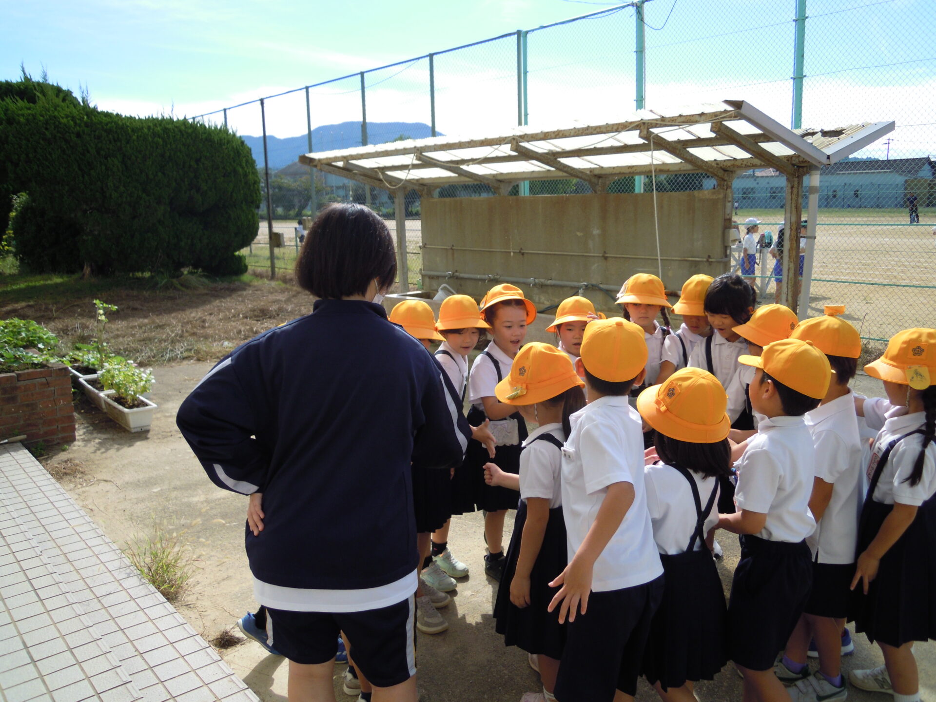 中学生職場体験