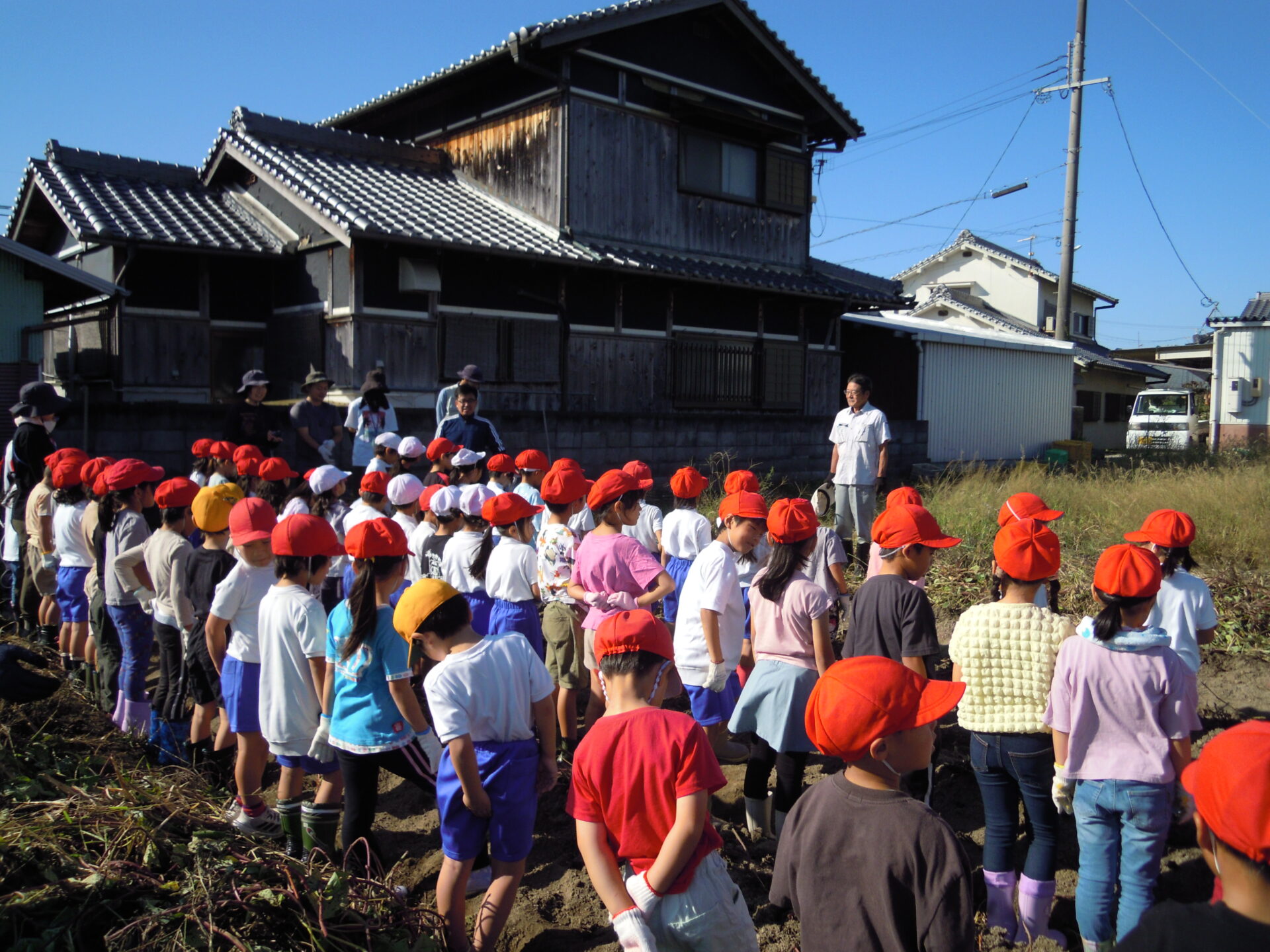 さつまいもほり