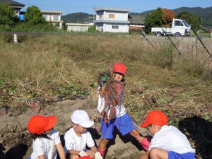 さつまいもほり