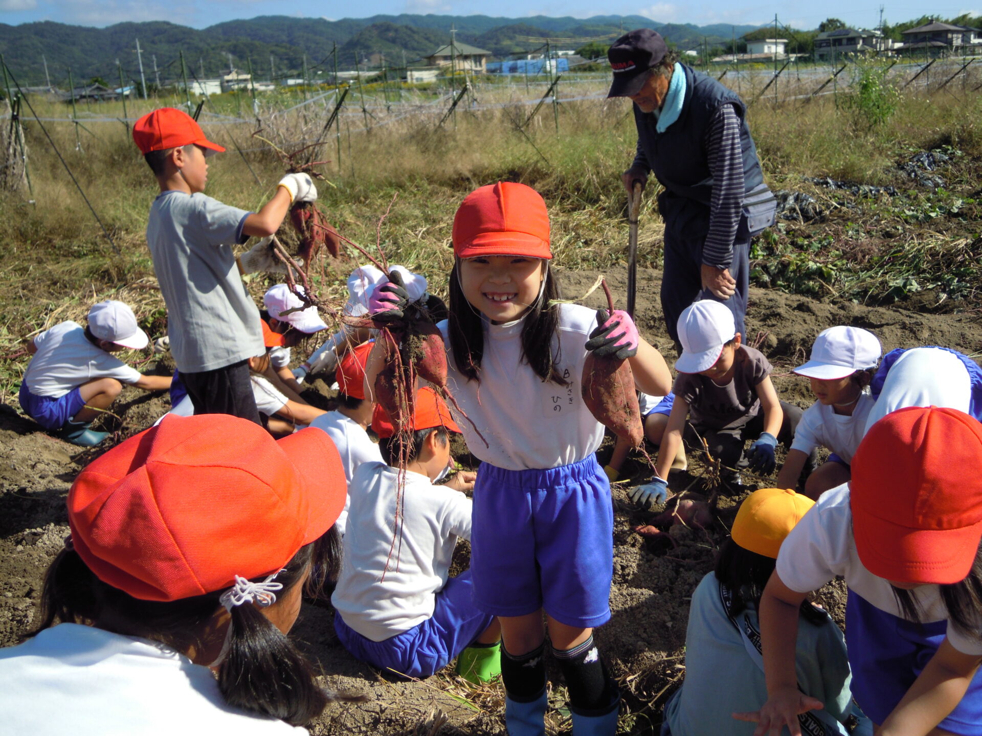 さつまいもほり