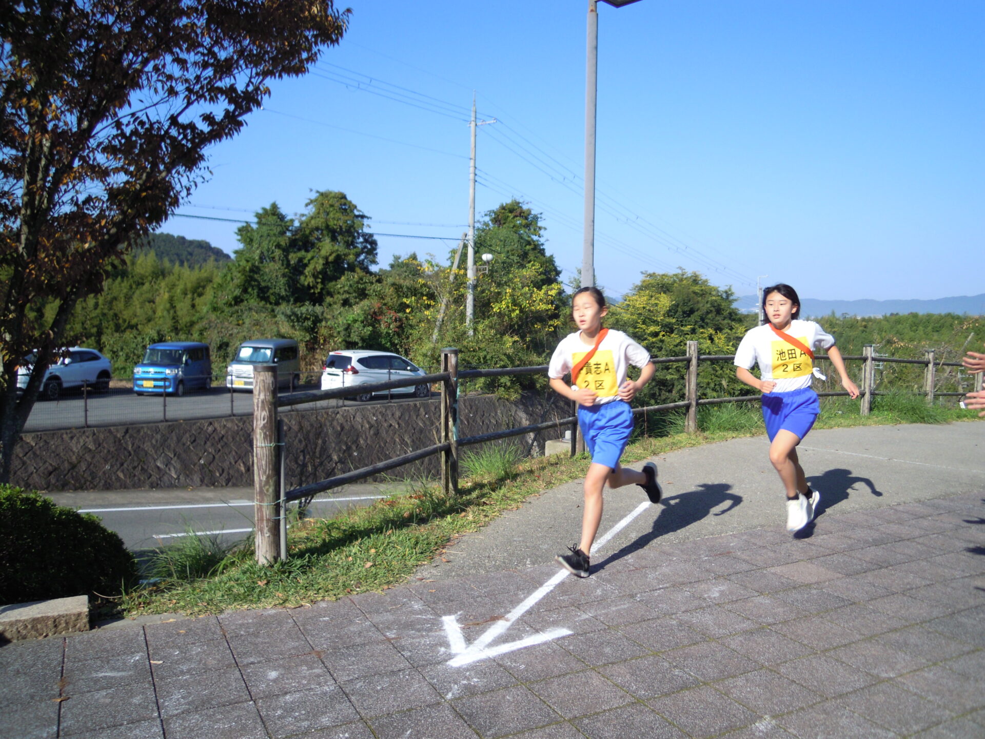 桃源郷駅伝競走大会