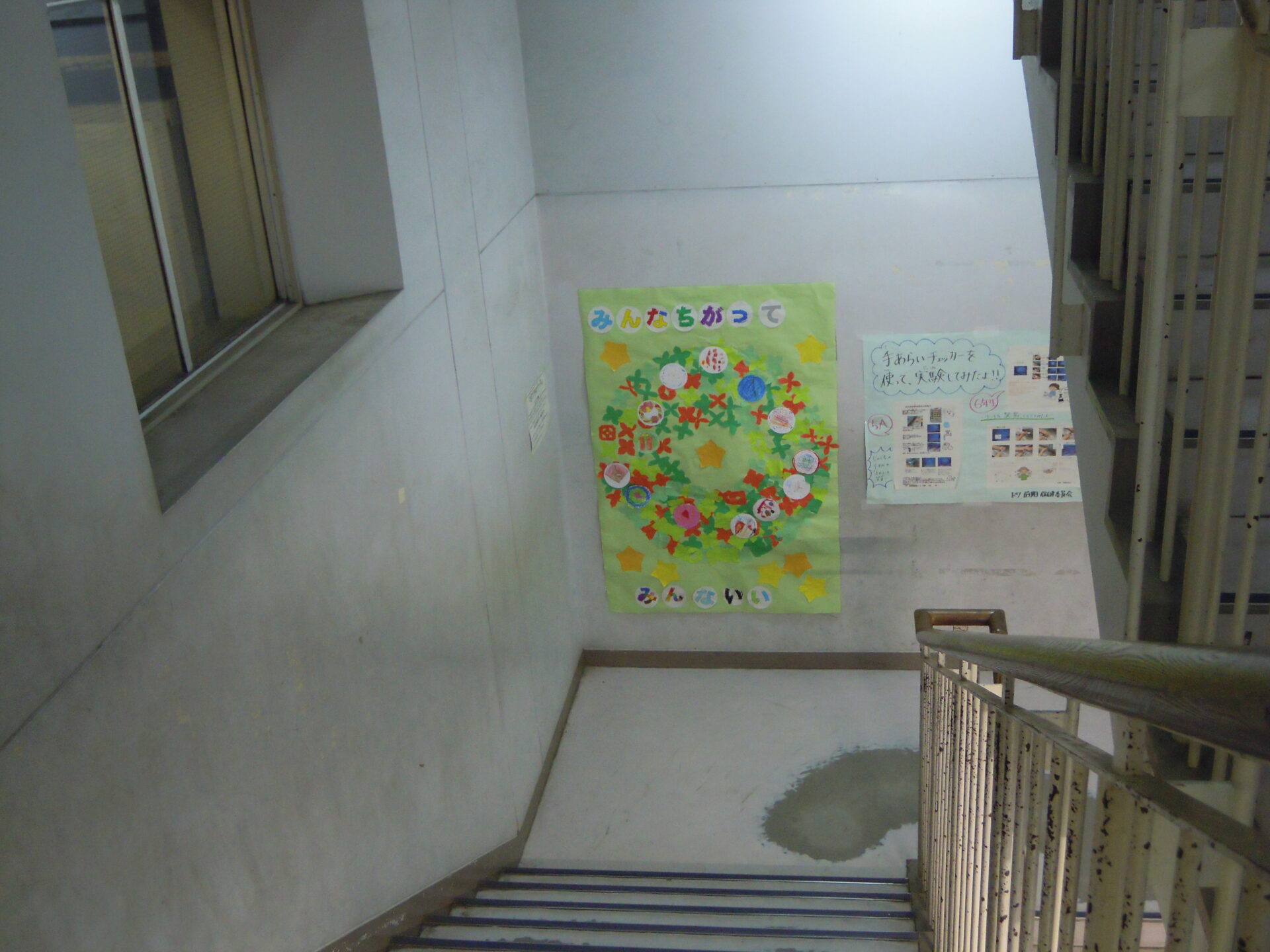 ポプラのリース