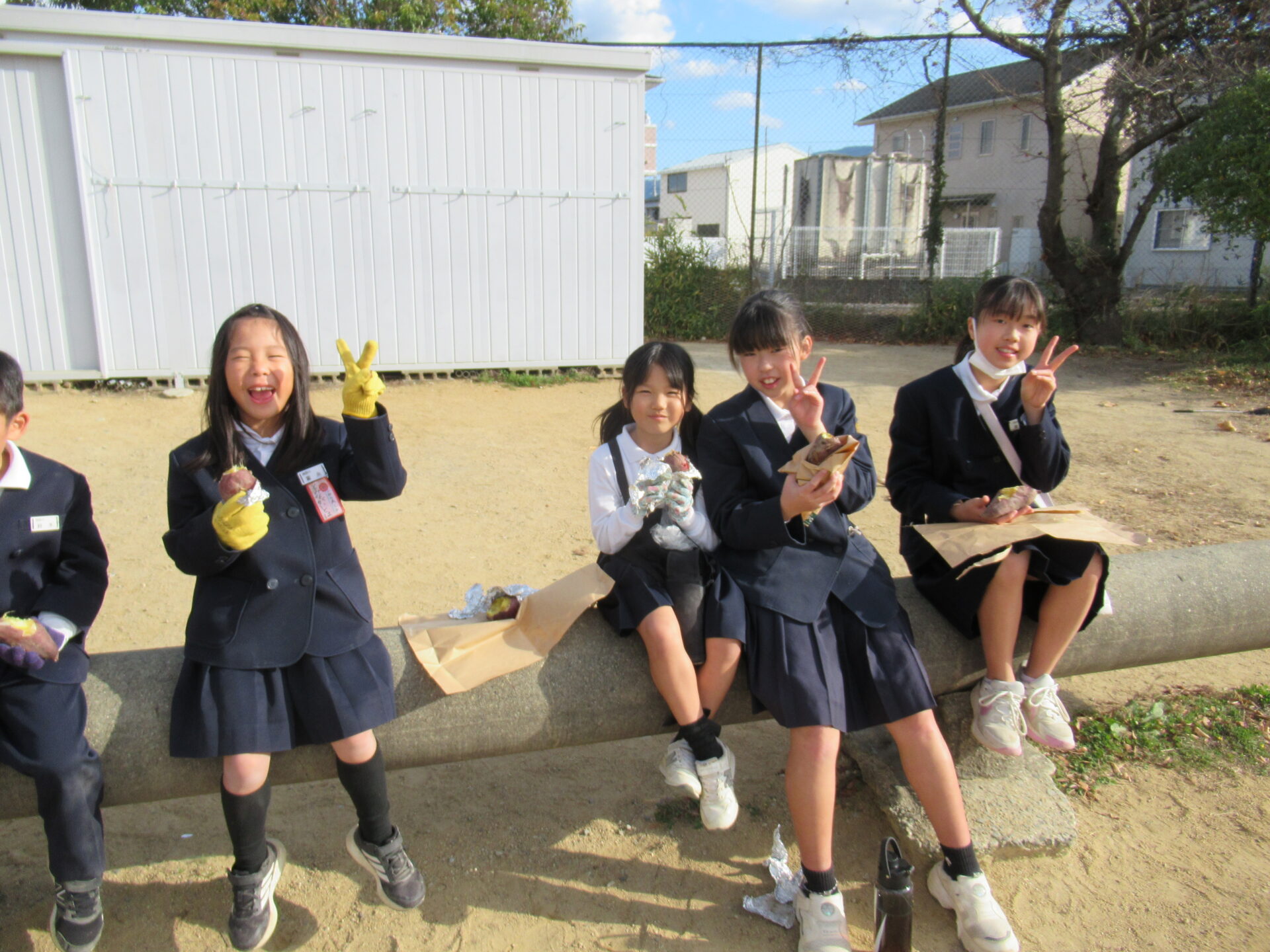 やきいも会（１､６年）