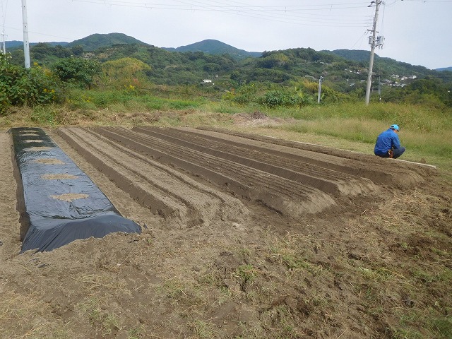 2024年10月31日　冬野菜植え付け（1･2年生）