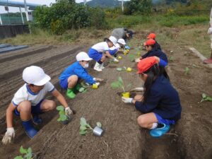 2024年10月31日　冬野菜植え付け（1･2年生）