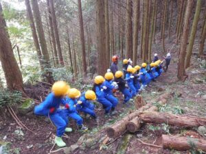 2024年11月11日　間伐体験（5･6年生）