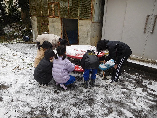 2025年1月10日　雪の日