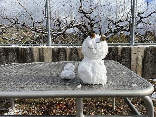 2025年1月10日　雪の日