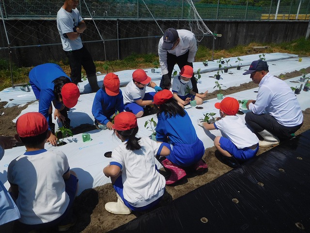 2025年4月30日 夏野菜の植え付け(2・3年生)