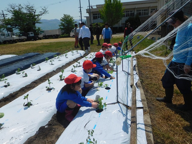 2025年4月30日 夏野菜の植え付け(2・3年生)