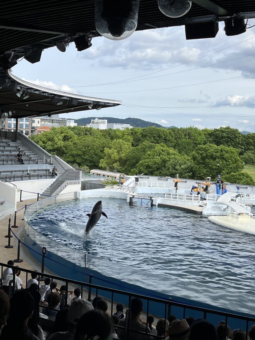 2025年5月22日　修学旅行1日目2