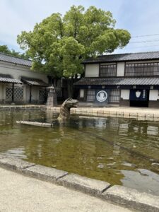 2025年5月23日　修学旅行2日目3