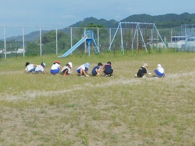 2025年8月17日　育童会校庭整備作業　
