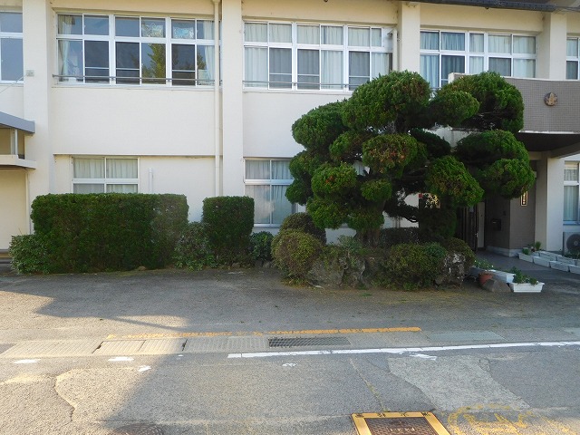 2025年8月17日　育童会校庭整備作業　