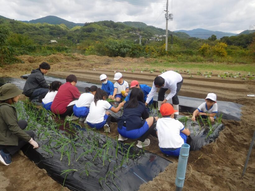 2025年10月28日 冬野菜の植え付け(2・3年生)