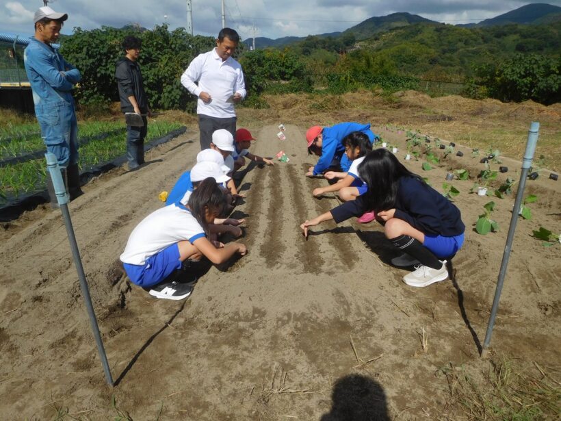 2025年10月28日 冬野菜の植え付け(2・3年生)