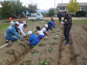 2025年10月28日　冬野菜の植え付け（2･3年生）