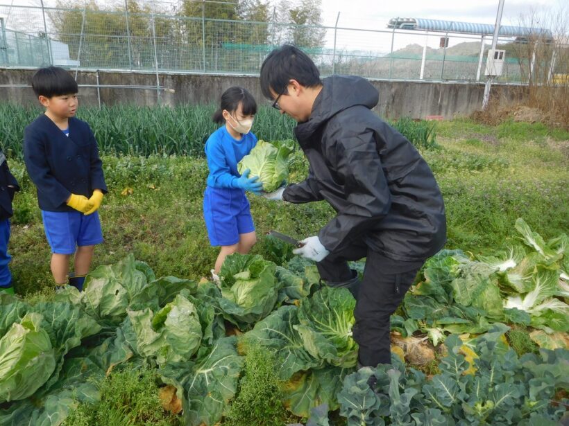 2026年3月5日　冬野菜収穫（2･3年生）