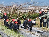 学校農園へ苗の植え付けを行いました。