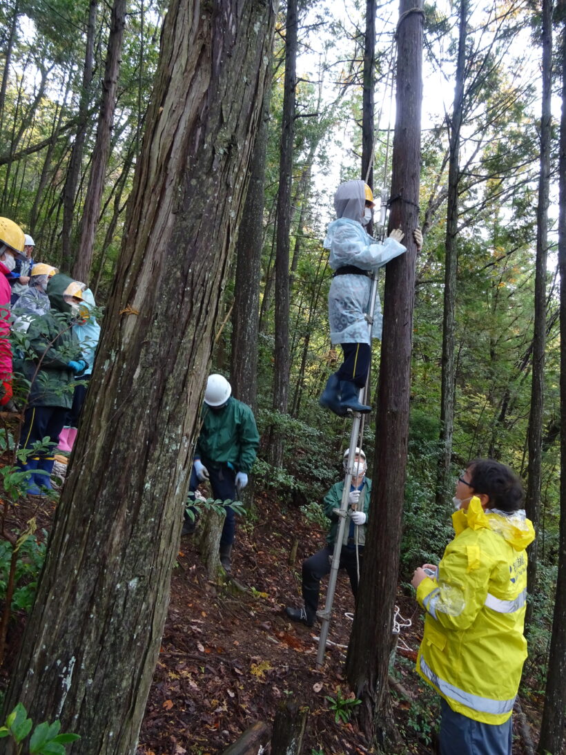 ５年生が森林体験をしました。