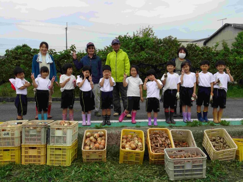 学校農園での野菜収穫