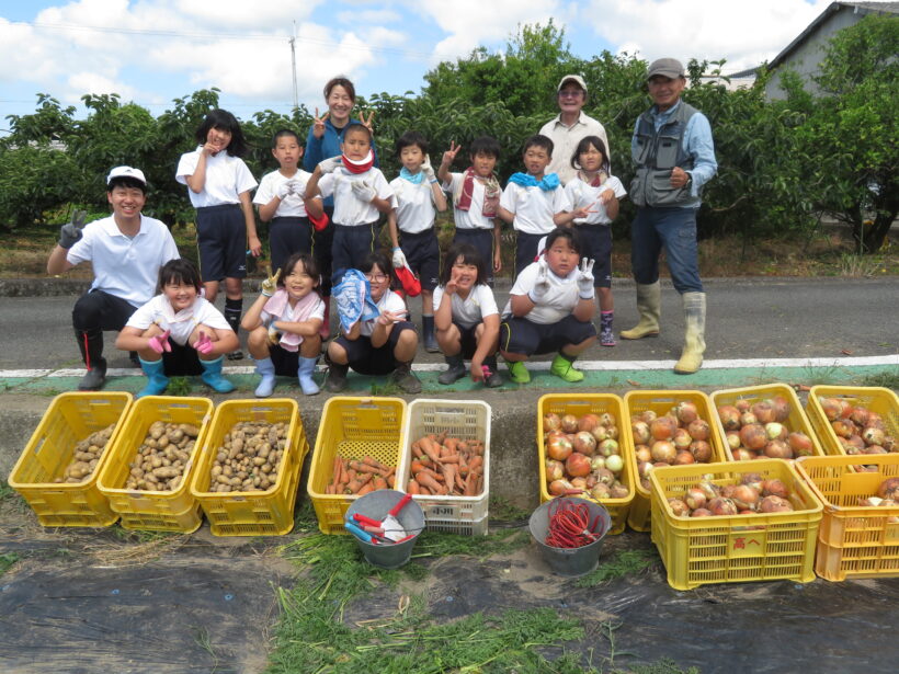野菜の収穫（全校児童）
