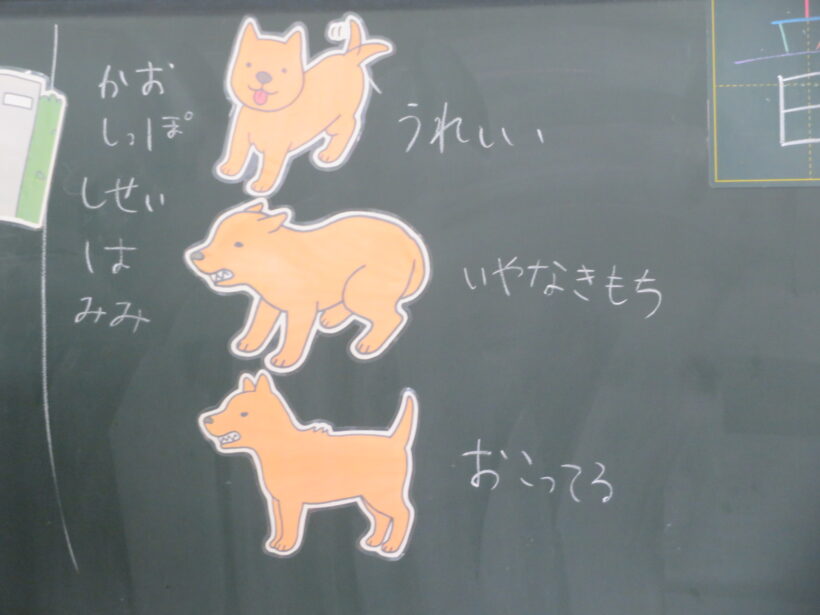 動物愛護啓発事業（わうクラス）１２年生