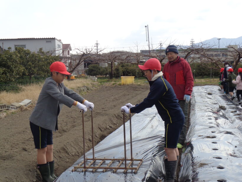 野菜の植えつけ（１２５６年）