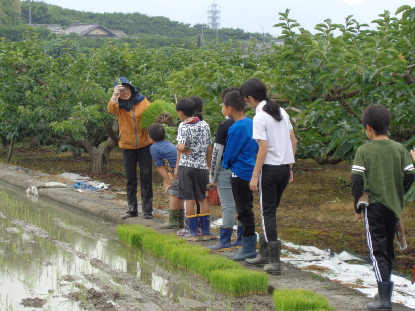 雨が降る前に・・・(田植え)