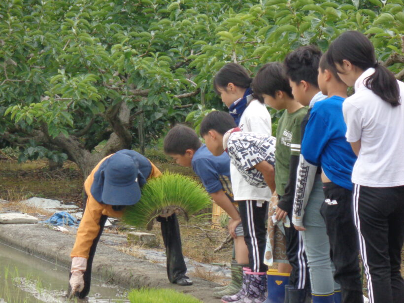 雨が降る前に・・・(田植え)