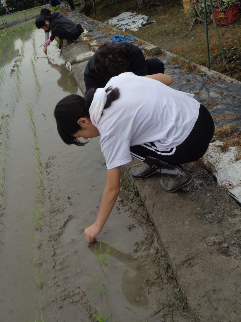 雨が降る前に・・・(田植え)