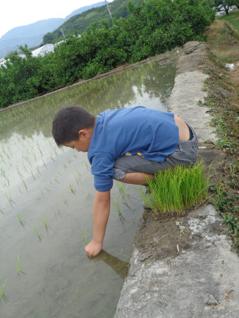 雨が降る前に・・・(田植え)